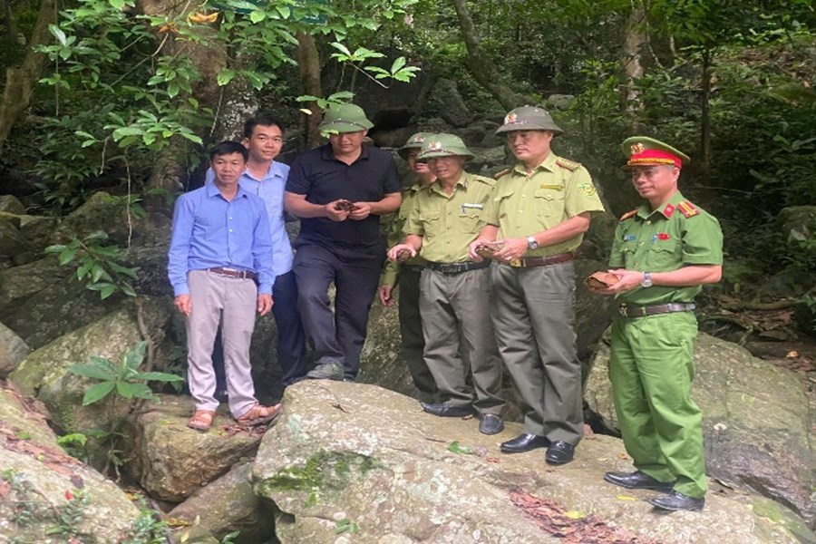 Hạt Kiểm lâm khu vực IV - Chi cục Kiểm lâm phối hợp Công an phường Nguyễn Trãi kịp thời phát hiện, ngăn chặn hoạt động săn bắt động vật hoang dã trái pháp luật, thả về tự nhiên 04 cá thể rùa quý hiếm