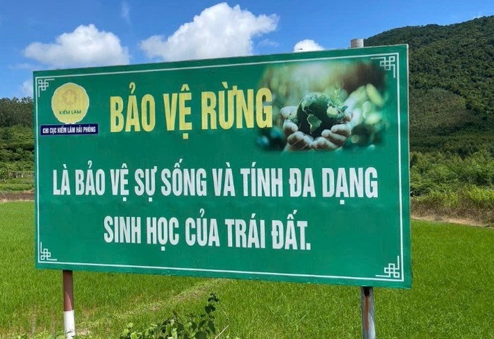 HẠT KIỂM LÂM KHU VỰC IV: CHỦ ĐỘNG RÀ SOÁT, LÀM MỚI HỆ THỐNG BIỂN BÁO BẢO VỆ RỪNG CHUẨN BỊ CHO MÙA KHÔ HANH 2026