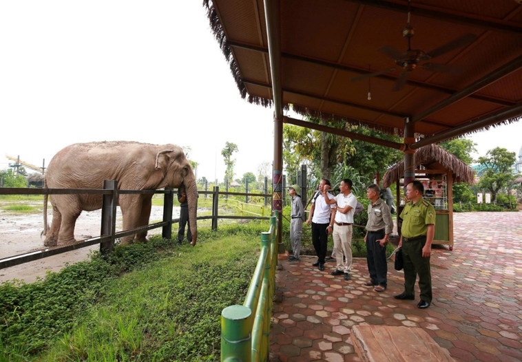 Hạt Kiểm lâm khu vực III phối hợp thực hiện hoạt động điều tra, đánh giá thực trạng chăm sóc Voi nuôi nhốt trên địa bàn  Hạt quản lý